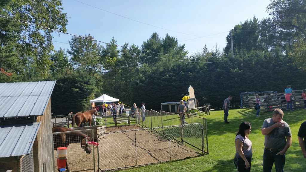 Miel De Chez Nous | 1391 Rang du Pied de la Montagne, Sainte-Mélanie, QC J0K 3A0, Canada | Phone: (450) 889-5208