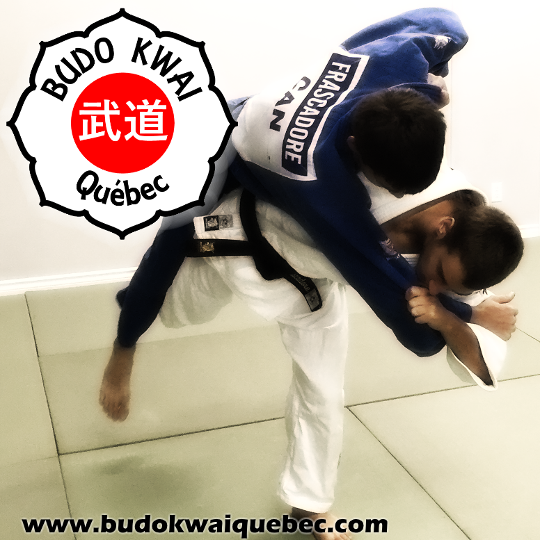 Center Budo Kwai Québec | 1900 Avenue du Cheminot, Québec, QC G1E 4L9, Canada | Phone: (418) 822-3326