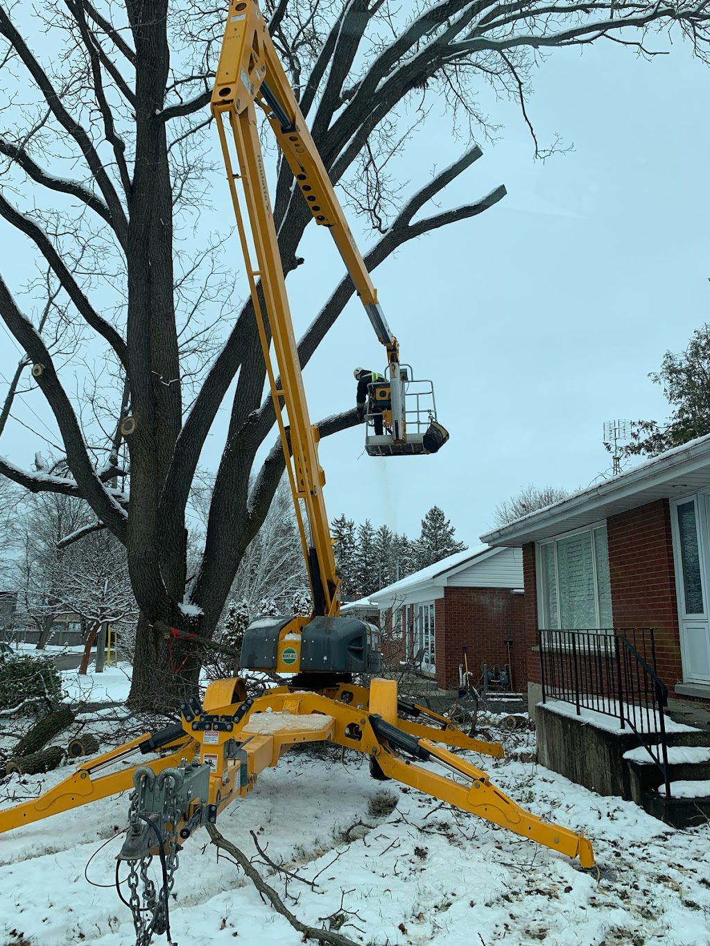 De Ruyte Tree Services | Spruce Grove Ct, Port Dover, ON N0A 1N6, Canada | Phone: (647) 444-9342