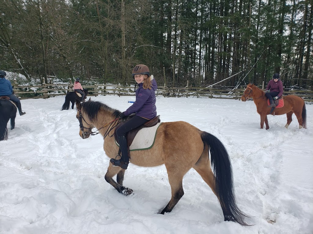 Louisa Nicholls Riding Instruction | 4185 244 St, Langley Twp, BC V2Z 1M8, Canada | Phone: (604) 856-0188