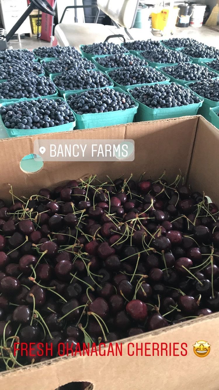 Bancy Farms | 5050 36 Ave, Delta, BC V4K 3N2, Canada | Phone: (604) 728-7373