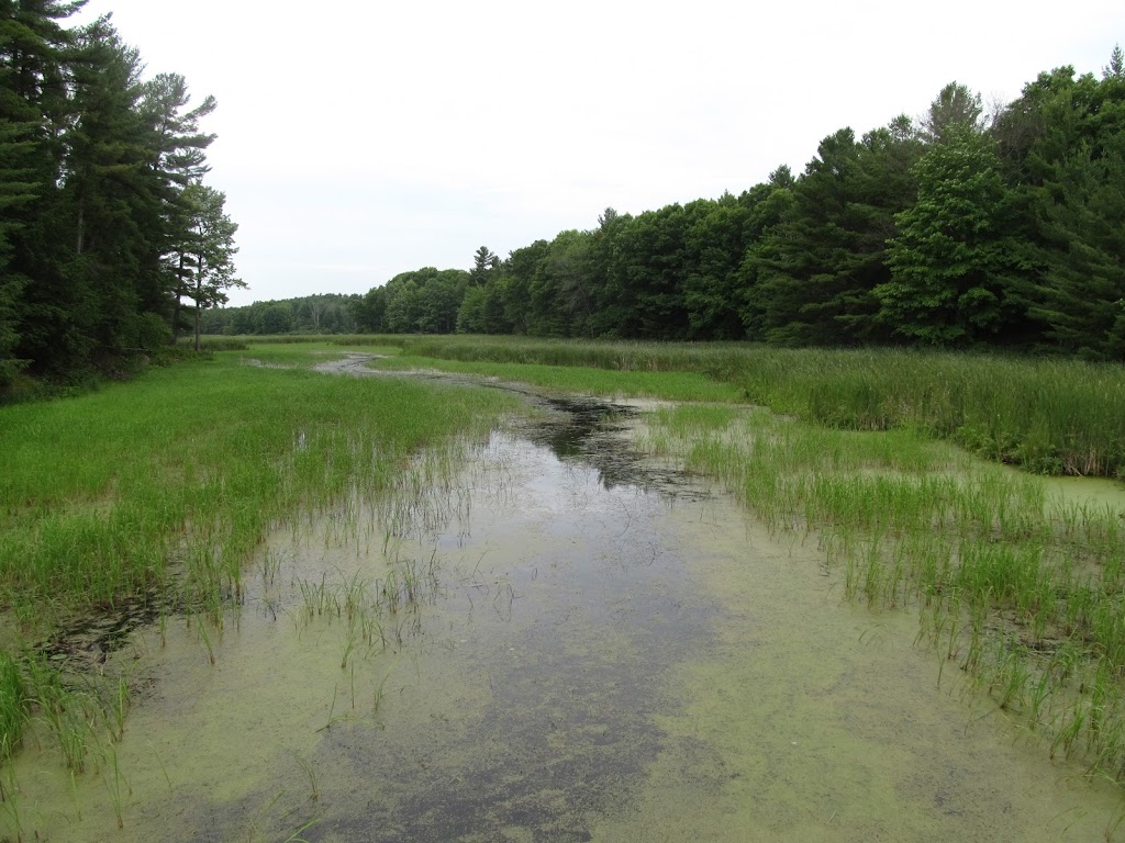 Jones Creek Trails - Thousand Islands National Park | 1231-1241 Thousand Islands Pkwy, Mallorytown, ON K0E 1R0, Canada | Phone: (613) 923-5261