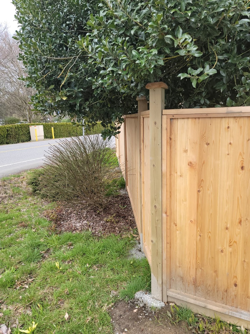 Bagha cedar & chain link fencing | 32625 Marshall Rd, Abbotsford, BC V2T 1A8, Canada | Phone: (778) 551-3628