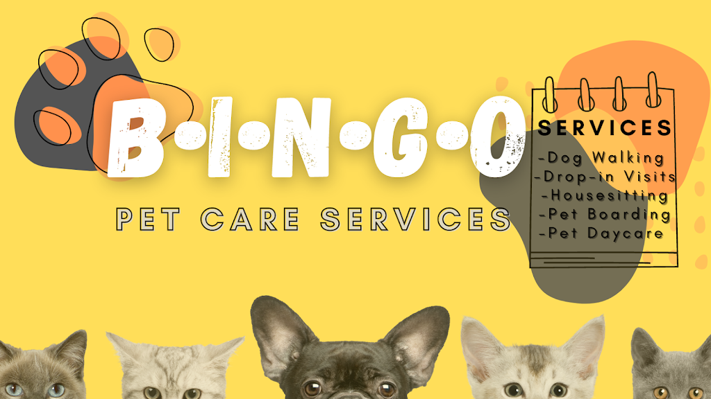 Bingo Pet Care Services | 319 Grackle St, Gloucester, ON K1X 0G8, Canada | Phone: (613) 218-6901