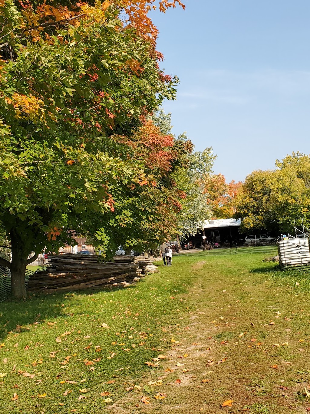 Homestead Orchards | 3961 Old Homestead Rd, Sutton, ON L0E 1R0, Canada | Phone: (905) 722-5325