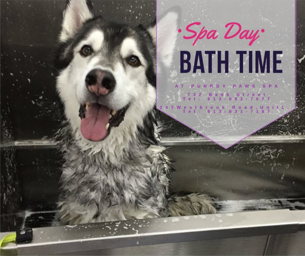 Purrdy Paws Pet Grooming Spa | 247 Westbrook Rd #1, Carp, ON K0A 1L0, Canada | Phone: (613) 831-7187