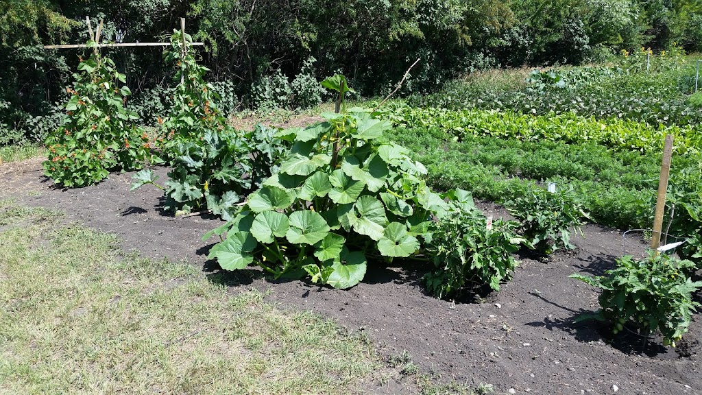 Piper Creek Community Gardens | Red Deer, AB T4R 2T3, Canada | Phone: (403) 342-8111