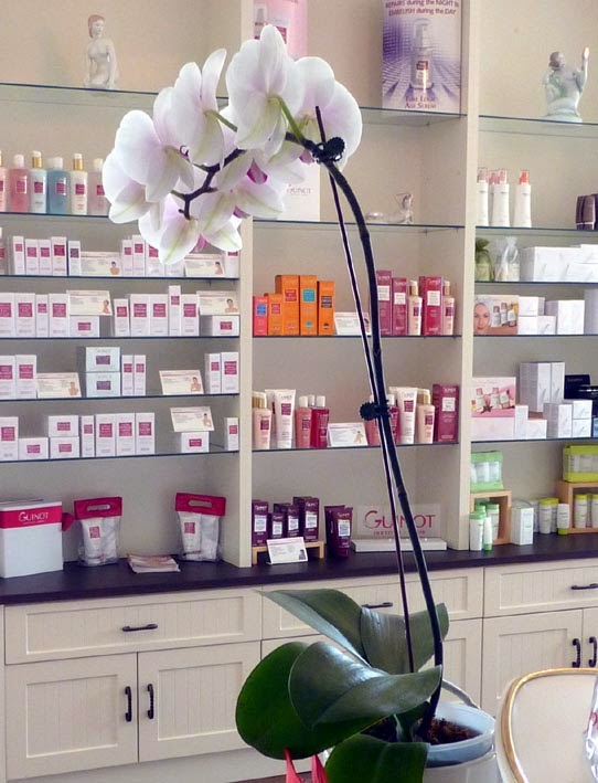 Ashgrove Spa | 105 Main St Unionville, Unionville, ON L3R 2G1, Canada | Phone: (905) 474-0343