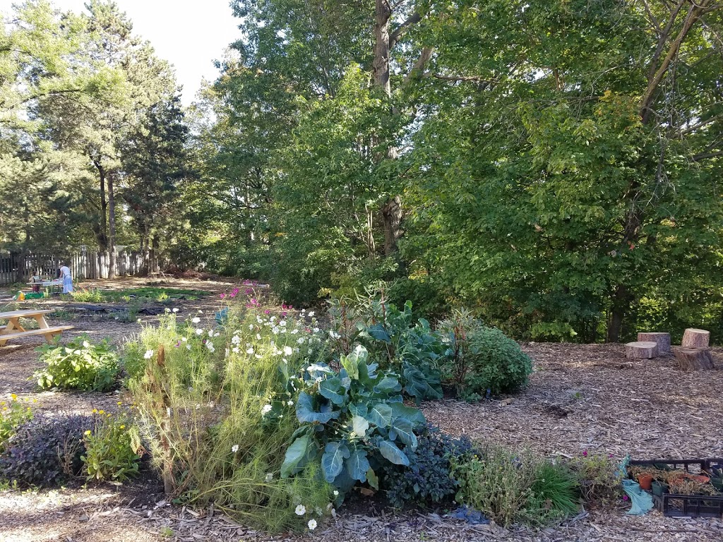 53 Thorncliffe Park Drive Community Garden | 53 Thorncliffe Park Dr, East York, ON M4H 1L1, Canada