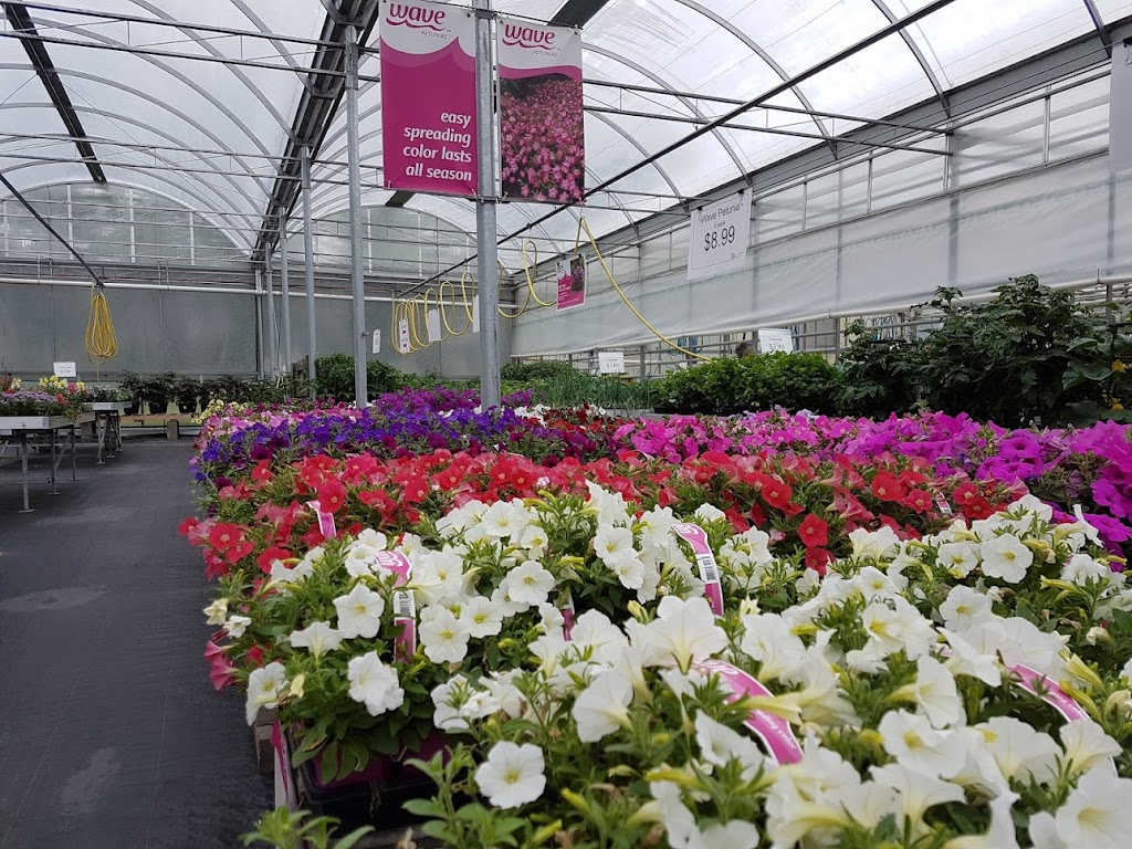 Aspen Greenhouses | 1-40032, Range Rd 283, AB T4M 0X7, Canada | Phone: (403) 885-4516