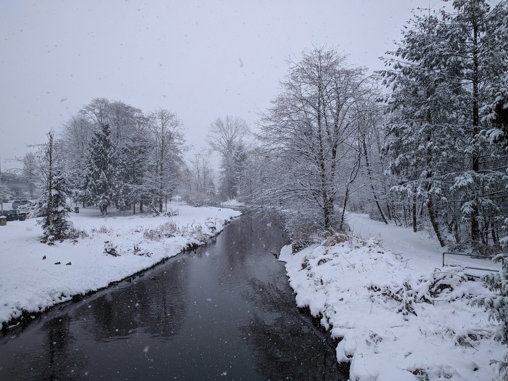 Still Creek | Still Creek trail, Burnaby, BC V5C 6C6, Canada