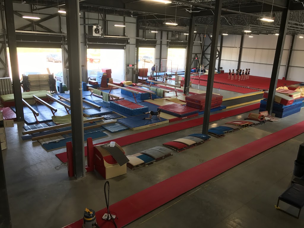 Gym-Plus Club Des Laurentides | 11695 Montée Sainte Marianne, Mirabel, QC J7J 0S1, Canada | Phone: (450) 965-8609