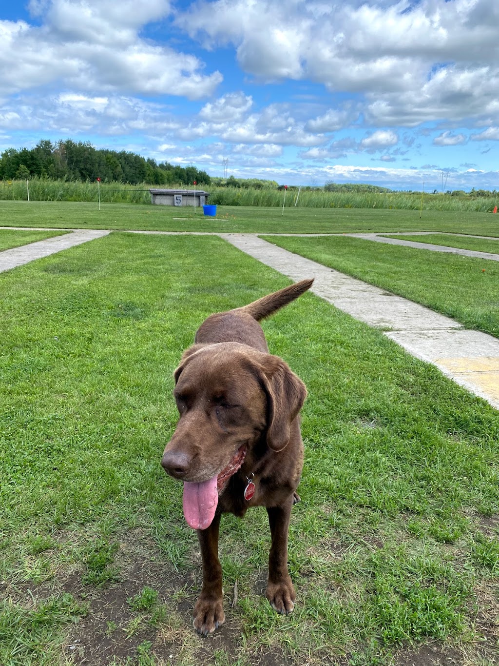 Montreal Skeet Club | 2070 Chem. du Canal, Les Cèdres, QC J7T 0L9, Canada | Phone: (450) 452-2417