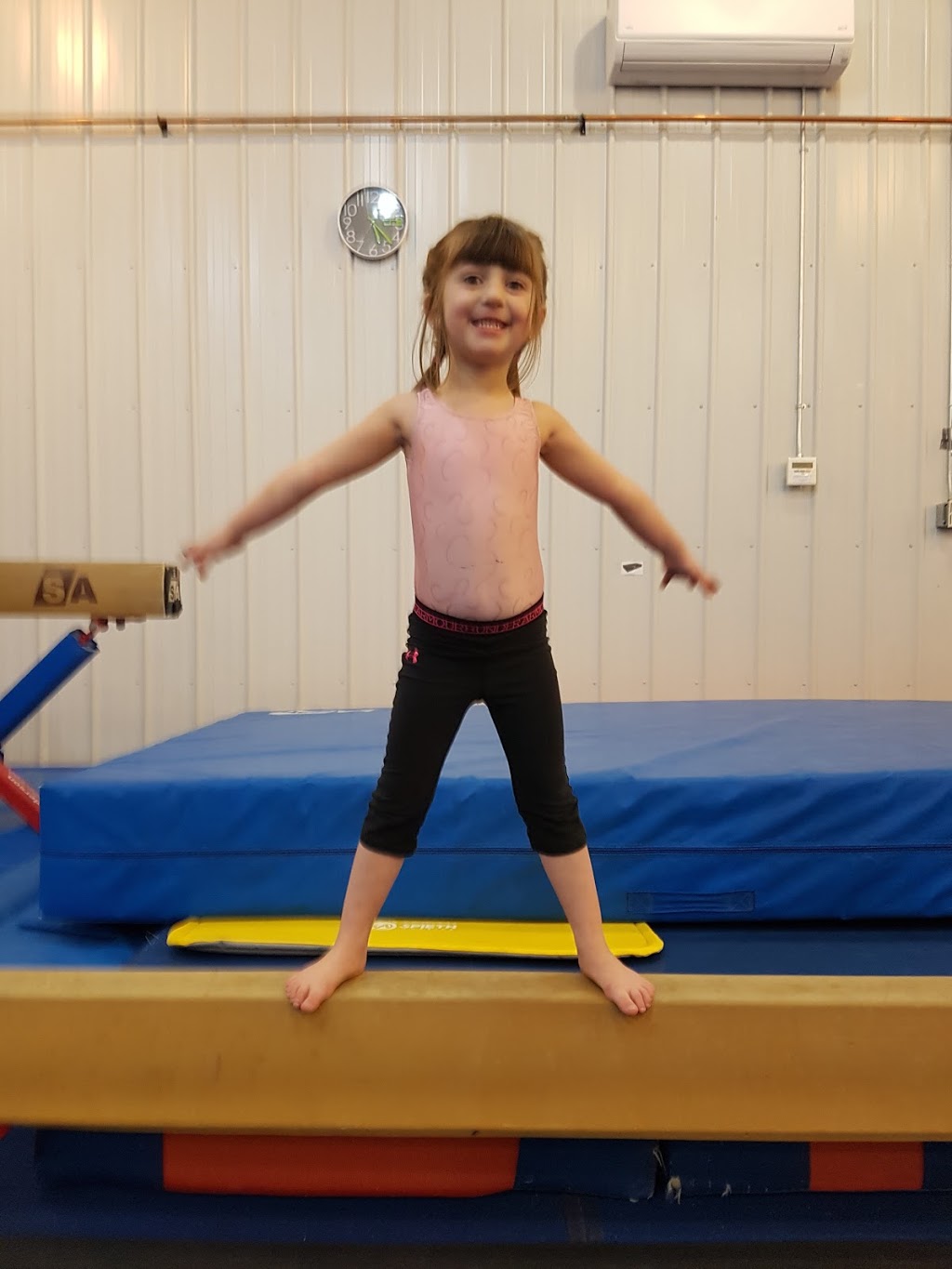 Selkirk Selects Gymnastics Club | 965 Main St, Clandeboye, MB R0C 0P0, Canada