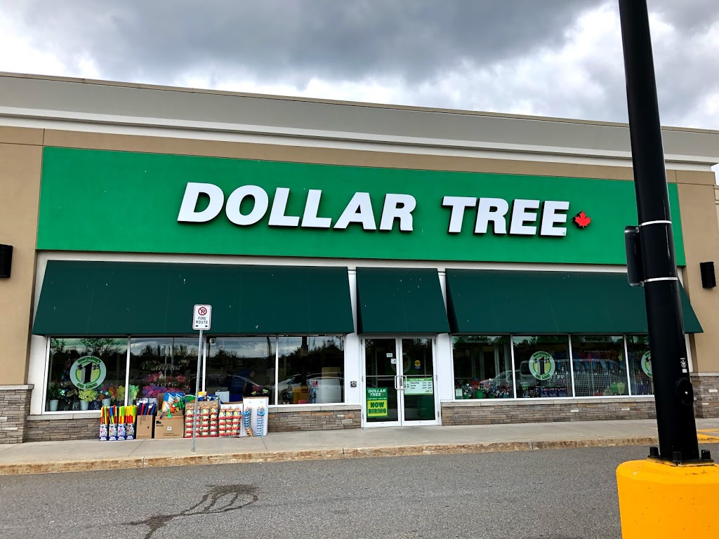 Dollar Tree | 32 Depot Drive Units 1 & 2, Bracebridge, ON P1L 0A1, Canada | Phone: (705) 645-9148