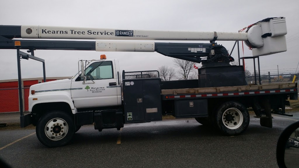 Kearns Tree Service | 108 Opmar Rd, Little Britain, ON K0M 2C0, Canada | Phone: (705) 308-1135