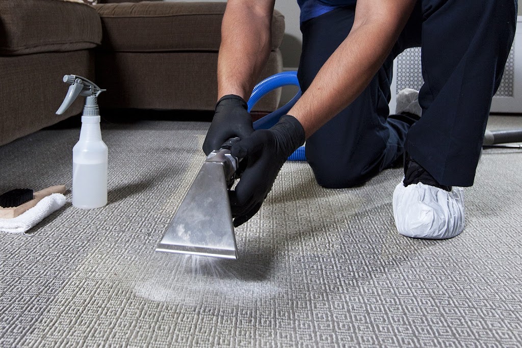 King Quality Cleaning Services | 17 Desert View Crescent, Richmond Hill, ON L4C 0E2, Canada | Phone: (437) 770-8080