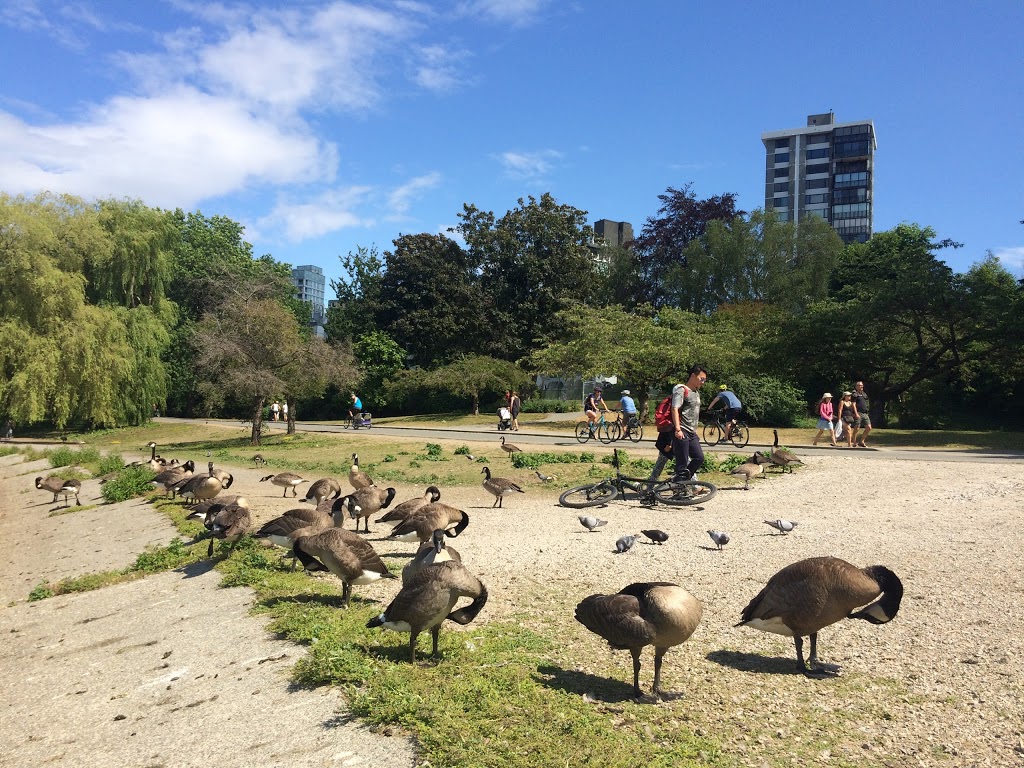 Stanley Park Nature House on Lost Lagoon | 712 Lost Lagoon Path, Vancouver, BC V6G 2S1, Canada | Phone: (604) 257-8544