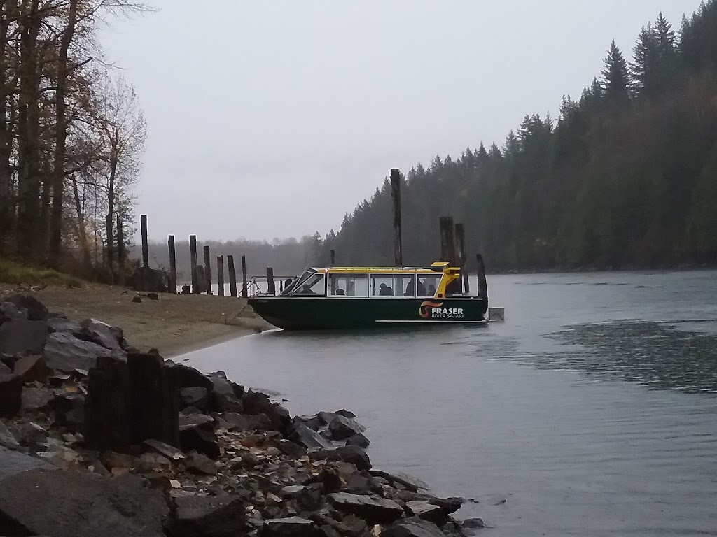 Fraser River Safari Eagle Tours November & December launch area | Kilby Rd, Kent, BC V0M 1L0, Canada | Phone: (866) 348-6877