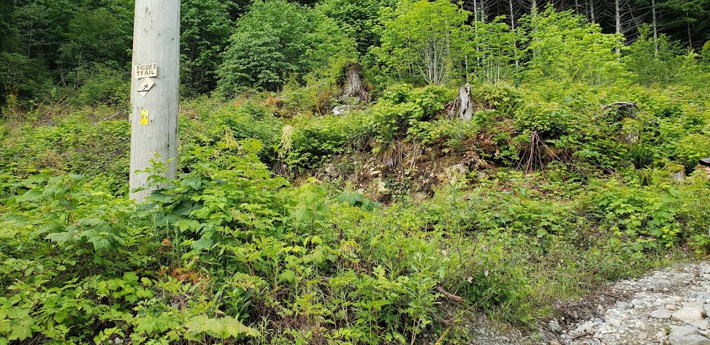 Siqurd Valley Trail Trailhead | Ashlu Rd, Brackendale, BC V0N 1H0, Canada