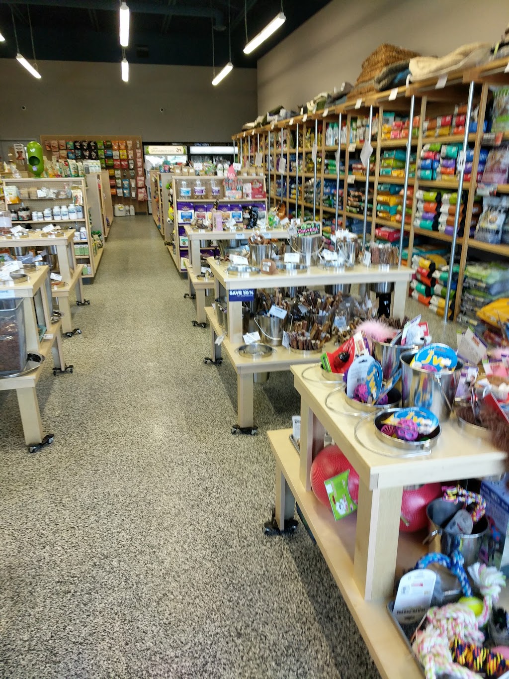 Pet Planet Wye Road Crossing | 301 Wye Rd #49, Sherwood Park, AB T8B 0A4, Canada | Phone: (587) 269-2006