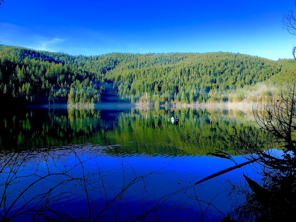 Buntzen Lake Dog Park | Anmore, BC V3H, Canada