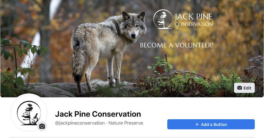 Jack Pine Conservation Estate | 64 Beattys Curv Rd, Kaladar, ON K0H 1Z0, Canada | Phone: (800) 684-4988