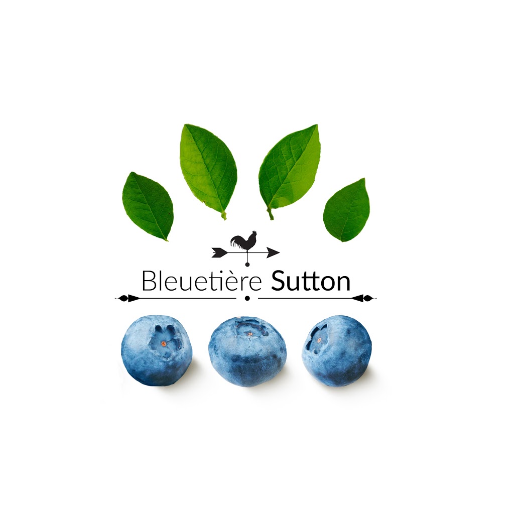 Bleuetière Sutton | 1881 route 139 Nord, West Brome, QC J0E 2P0, Canada | Phone: (514) 942-7775