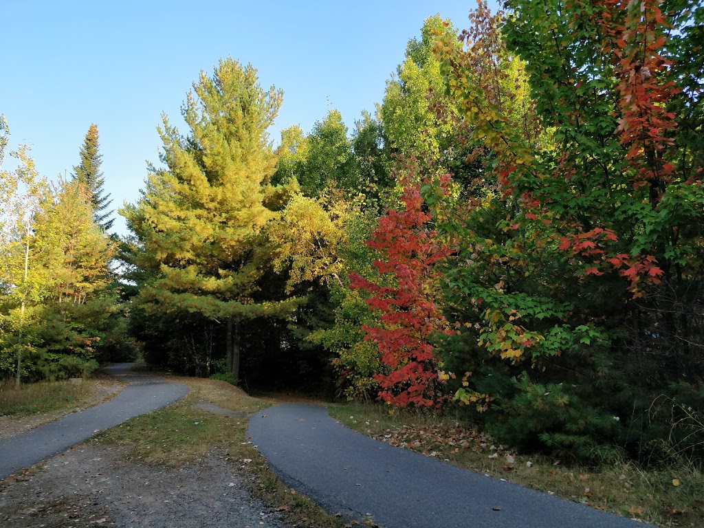 Plâtrier Bernard Gagnon LEntrepreneur | 2205 Rue Francois Nobert, Trois-Rivières, QC G8Y 2J1, Canada | Phone: (819) 384-2274