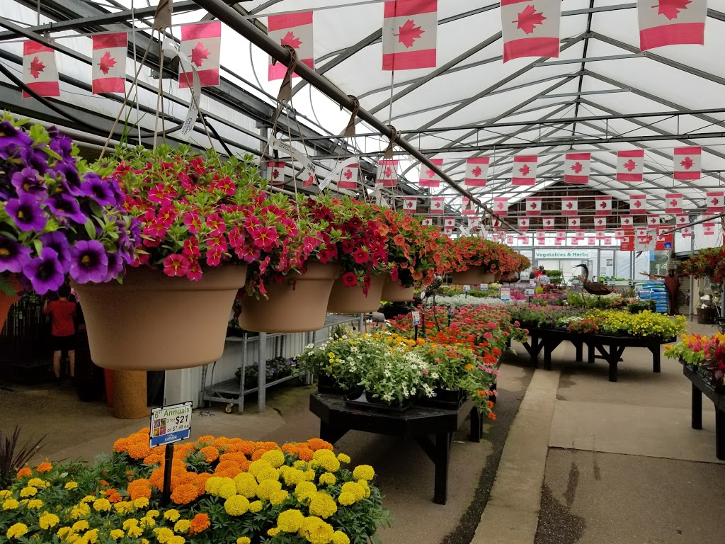 Canadale Nurseries | 269 Sunset Dr, St Thomas, ON N5R 3C4, Canada | Phone: (519) 631-7264