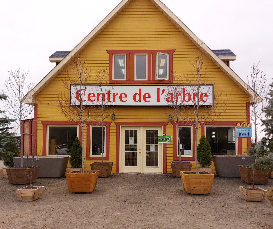 LES PLANTATIONS LÉTOURNEAU | 11150 Rte Sir Wilfrid Laurier, Mirabel, QC J7N 1L9, Canada | Phone: (450) 438-4381