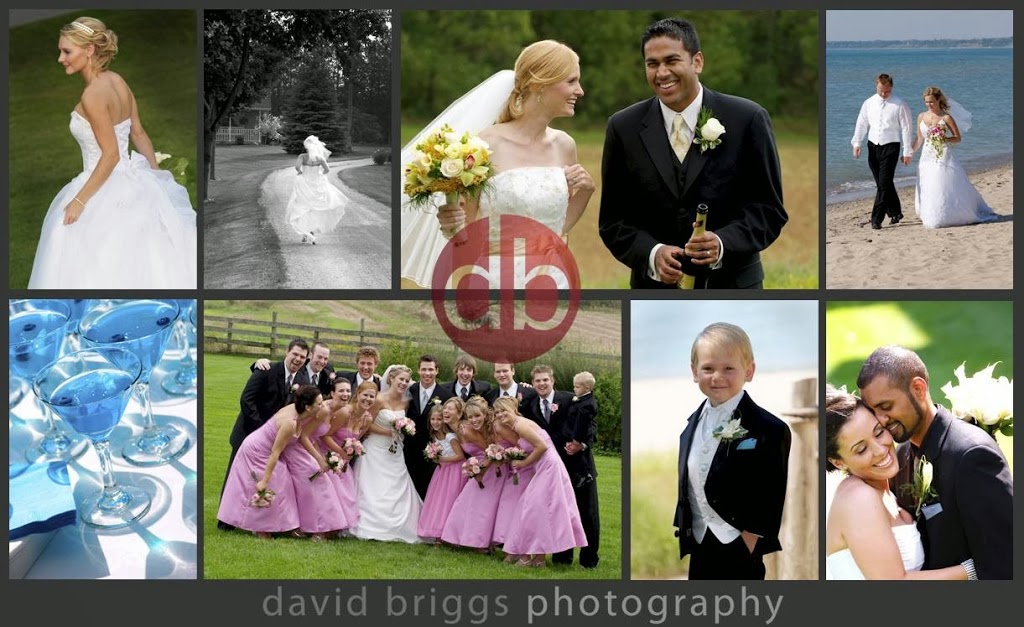 David Briggs Photography | 364 Woolwich St, Guelph, ON N1H 3W6, Canada | Phone: (519) 221-2244