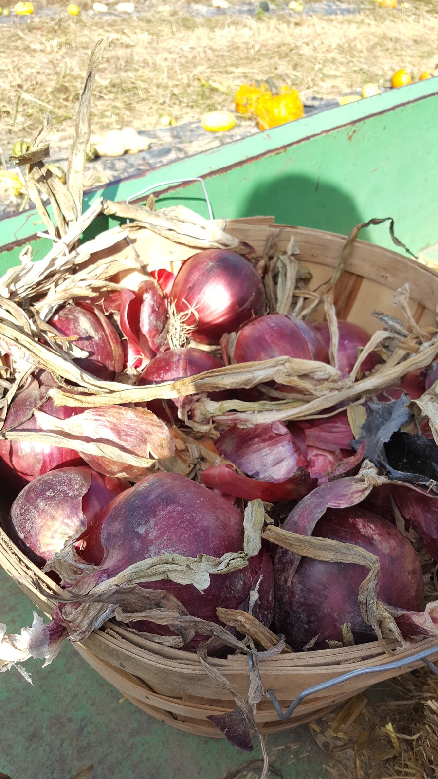 Les Légumes Charbonneau | 133 Chemin du Vide, Sainte-Angèle-de-Monnoir, QC J0L 1P0, Canada | Phone: (450) 460-7567