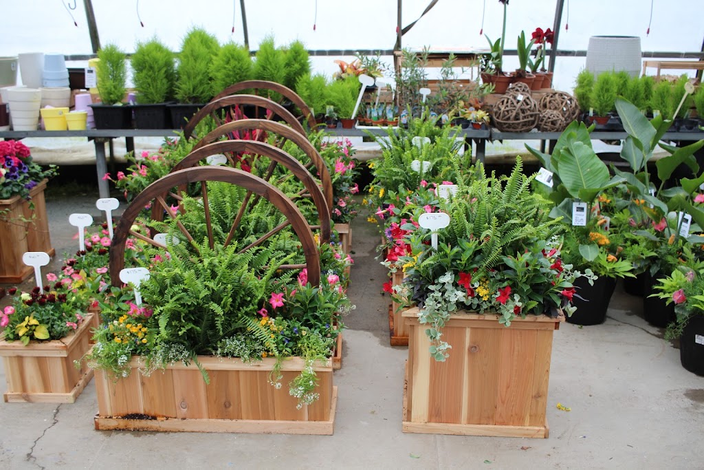 Listowel Greenhouses | 7877 Perth Road 164 R.R 2, Listowel, ON N4W 3G7, Canada | Phone: (519) 291-2434