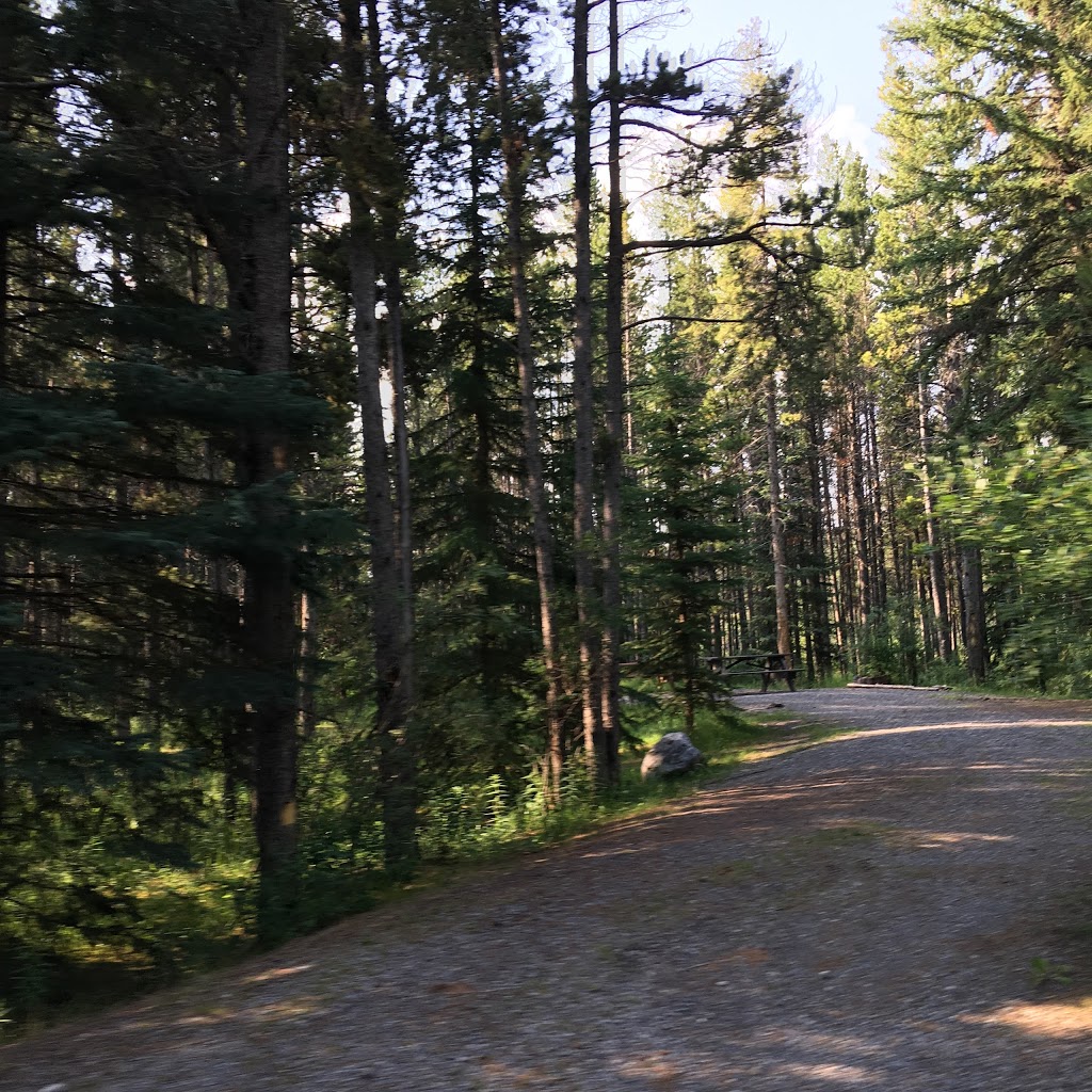 Waiparous Creek Campground | 27584 Forestry Trunk Rd, Bighorn No. 8, AB T0L, Canada | Phone: (877) 537-2757