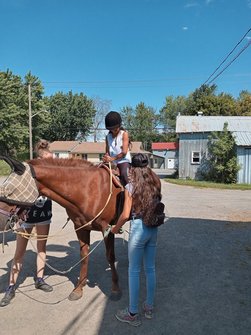 Ferme LAuteuilloise | 830 Bd des Mille-Îles, Laval, QC H7J 1E7, Canada | Phone: (450) 625-8826