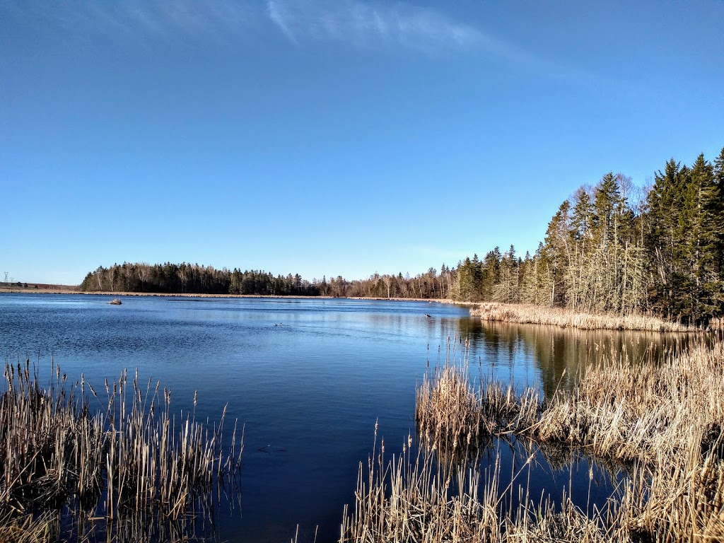 Amherst Point Migratory Bird Sanctuary | QPRX+MW, Nappan, NS B0L 1C0, Canada | Phone: (800) 668-6767