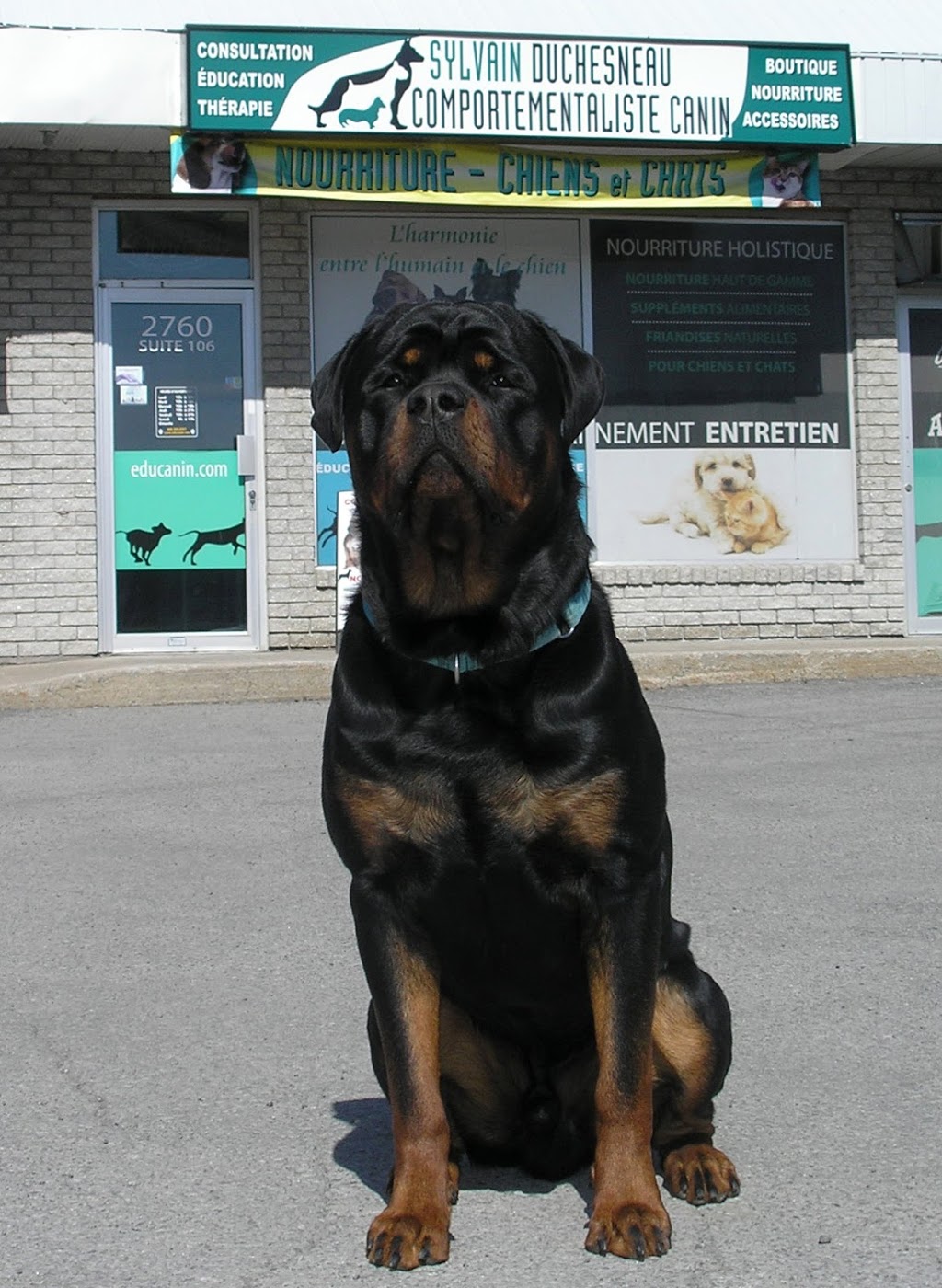 Education Canine Sylvain Duchesneau | 2760 Montée Major #106, Terrebonne, QC J7M 1E3, Canada | Phone: (450) 325-2297