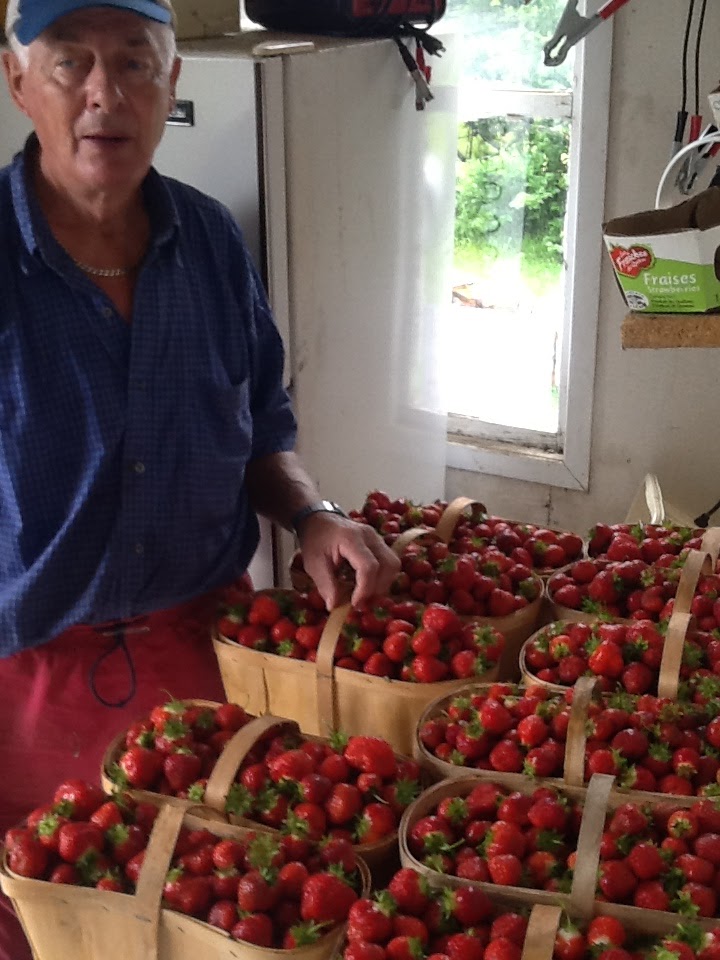 ROY & Son , Organic Strawberries & Potatoes Farm. | QC-204, Sainte-Justine, QC G0R 1Y0, Canada | Phone: (418) 383-3467