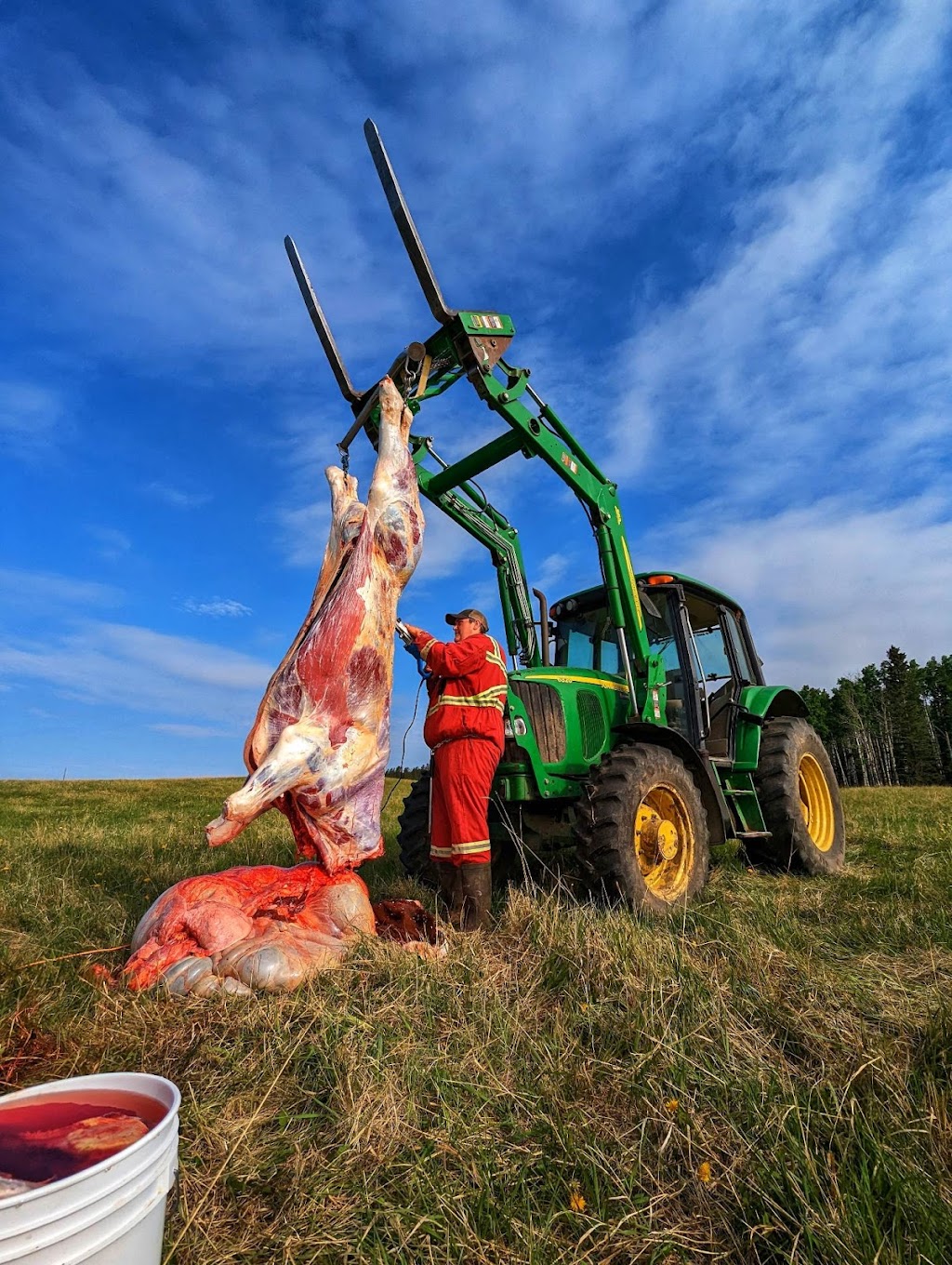 M&A Mobile Butcher | 21450 AB-21, Bashaw, AB T0B 0H0, Canada | Phone: (780) 898-5919