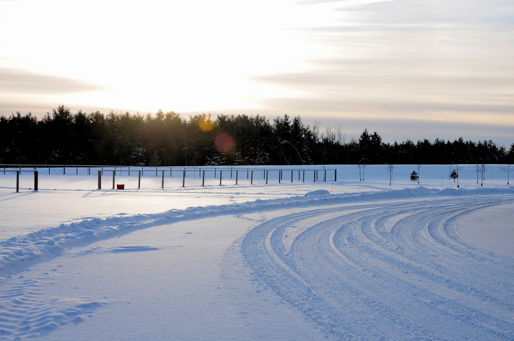 Top Rail Stables Inc. | 16406 5 Sideroad, Norval, ON L0P 1K0, Canada | Phone: (905) 877-8007