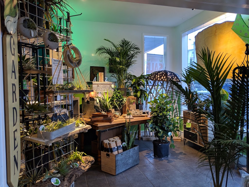 Treefrog Tropicals | 277 Government St, Duncan, BC V9L 1A7, Canada | Phone: (778) 422-3764