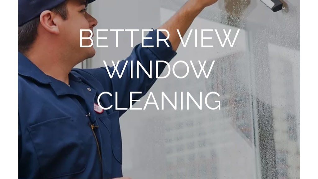 Better View Window Cleaning | 59 Radley Bay, Winnipeg, MB R3W 1H8, Canada | Phone: (204) 698-3185