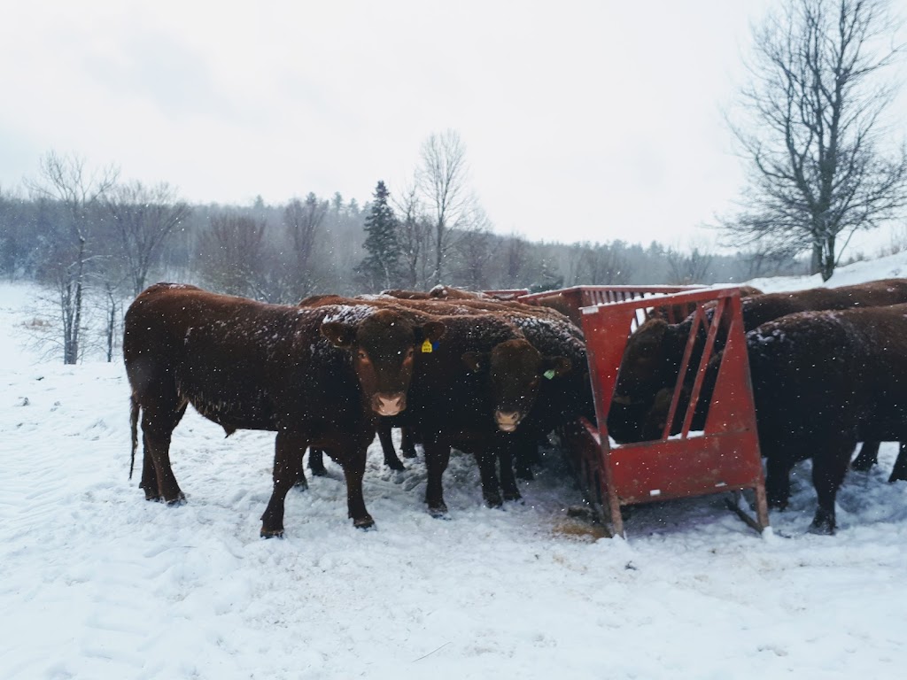 Ferme Sage | 157 Chem. Sage, Lac-Sainte-Marie, QC J0X 1Z0, Canada | Phone: (819) 467-2979