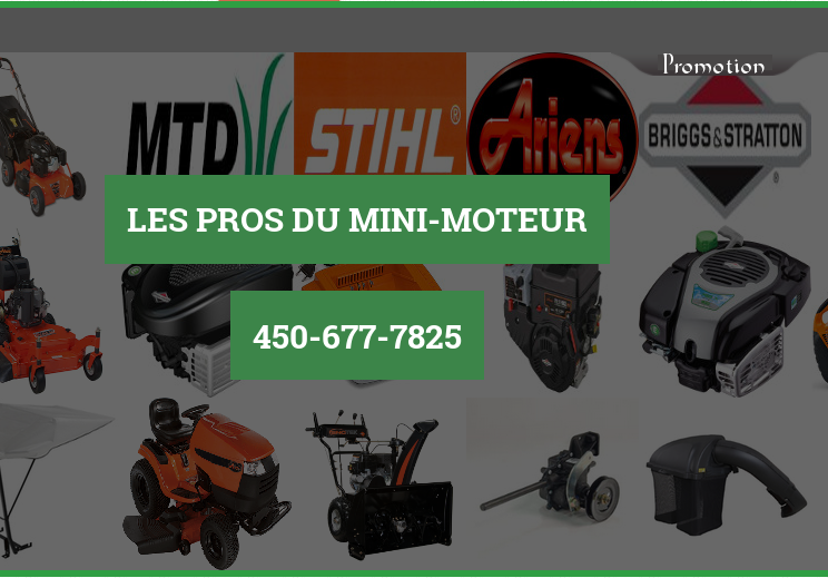 The Pros of Mini Motor | 2255 Rue Sainte-Hélène, Longueuil, QC J4K 3T8, Canada | Phone: (450) 677-7825