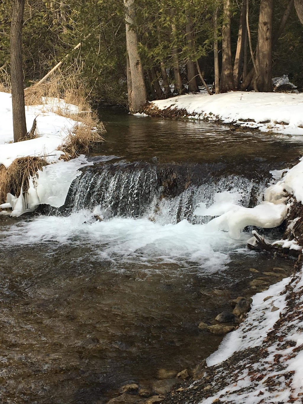 Crystal Roots Retreats | 605138 River Rd, Hornings Mills, ON L9V 2V4, Canada | Phone: (519) 925-3593