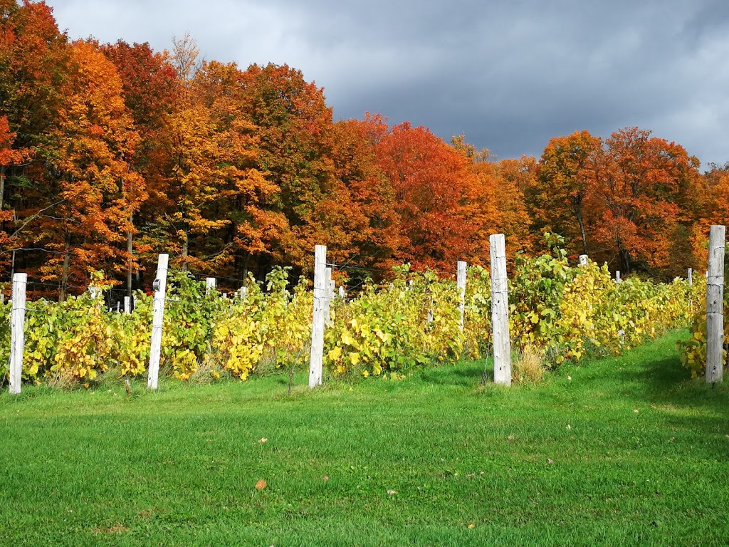 Vignoble Bromont Auberge & Boutique | 1095 Chemin N, Brigham, QC J2K 4R6, Canada | Phone: (450) 263-4988