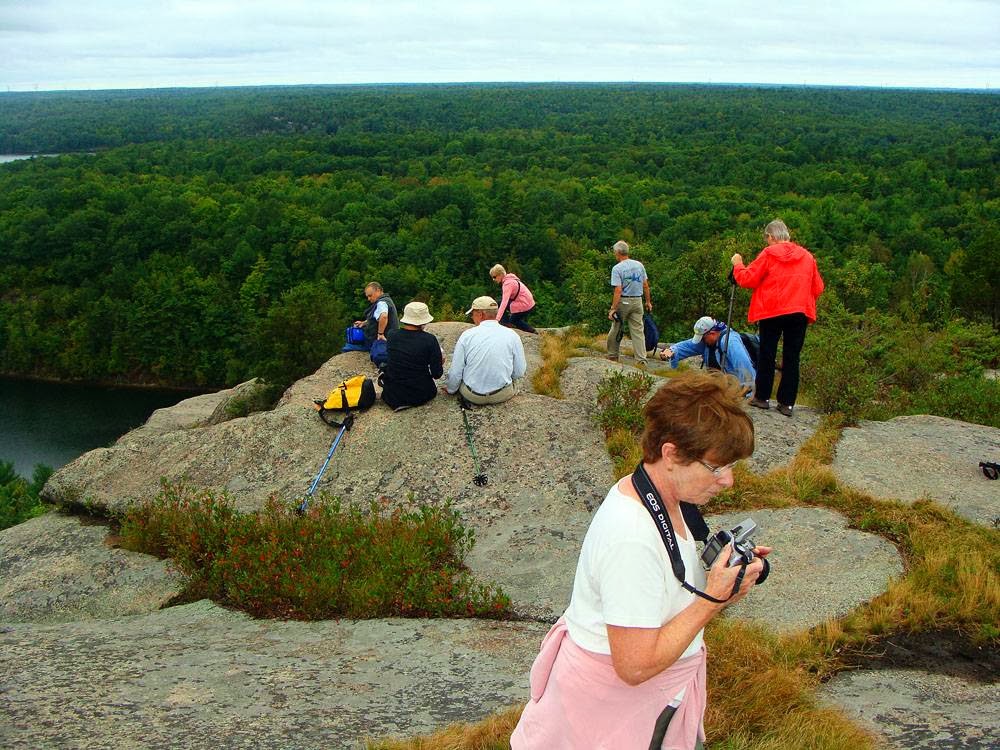 Nature Stuff | 23 Sprague Rd, Demorestville, ON K0K 1W0, Canada | Phone: (613) 848-4549