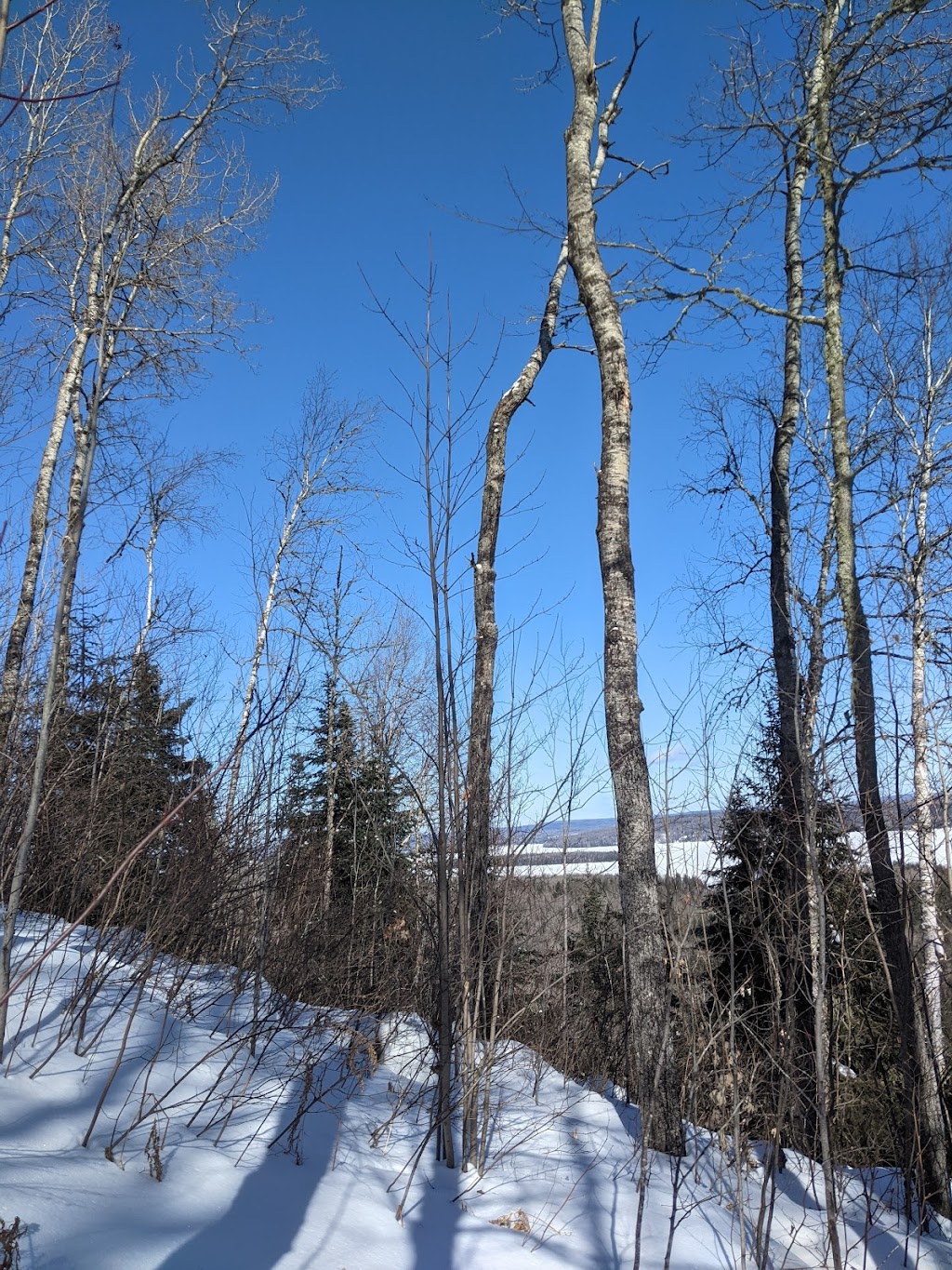 Sentier Du Promontoire Panoramique De La Baie Dominique | 44-210 Chem. Ferland, Saint-Michel-des-Saints, QC J0K 3B0, Canada | Phone: (450) 751-4219