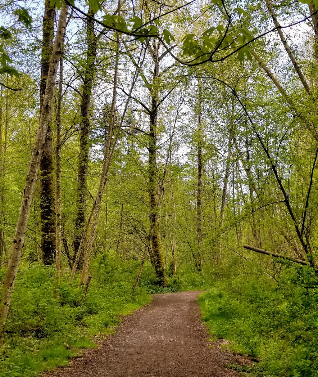 Burns Bog Delta Nature Reserve | Nordel Ct, Delta, BC V4G 1J7, Canada | Phone: (604) 572-0373